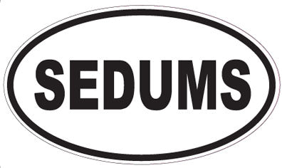 SEDUMS - Oval Sticker