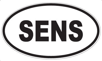 SENS - Oval Magnet