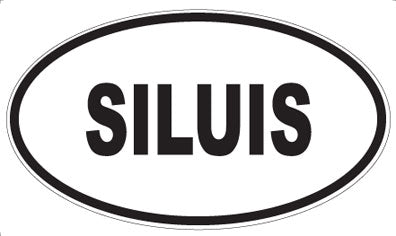 SILUIS - Oval Sticker