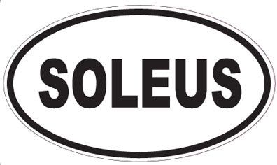SOLEUS - Oval Sticker