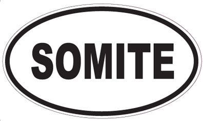 SOMITE - Oval Sticker