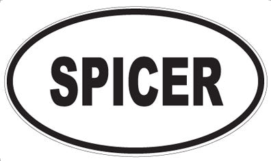 SPICER - Oval Magnet