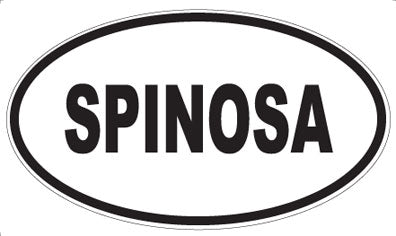 SPINOSA - Oval Magnet