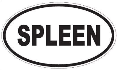 SPLEEN - Oval Sticker