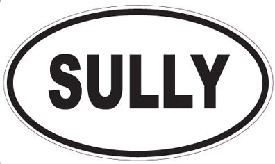 SULLY - Oval Magnet