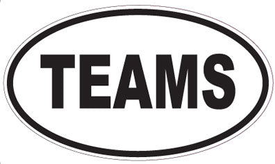 TEAMS - Oval Magnet