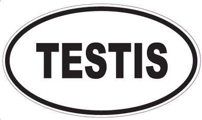TESTIS - Oval Sticker