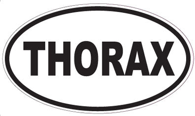 THORAX - Oval Sticker