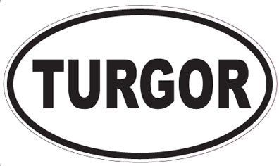 TURGOR - Oval Sticker