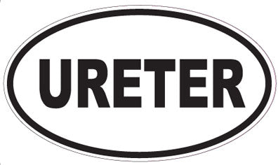 URETER - Oval Sticker