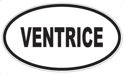 VENTRICE - Oval Sticker