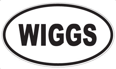 WIGGS - Oval Sticker
