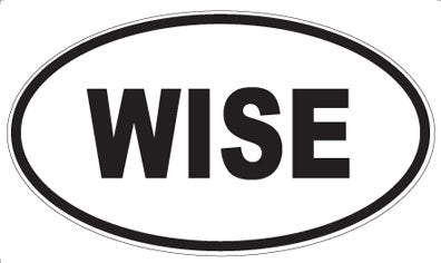 WISE - Oval Magnet
