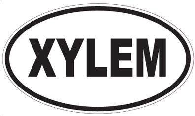XYLEM - Oval Sticker
