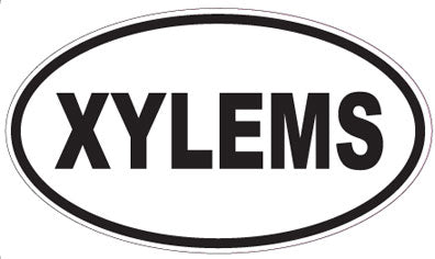 XYLEMS - Oval Sticker