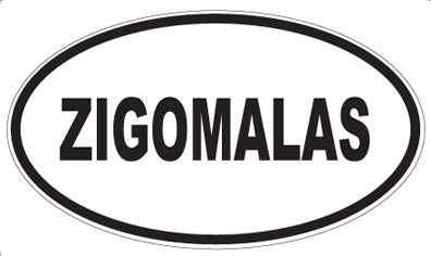 ZIGOMALAS - Oval Magnet
