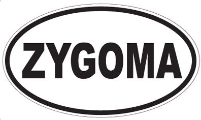ZYGOMA - Oval Sticker